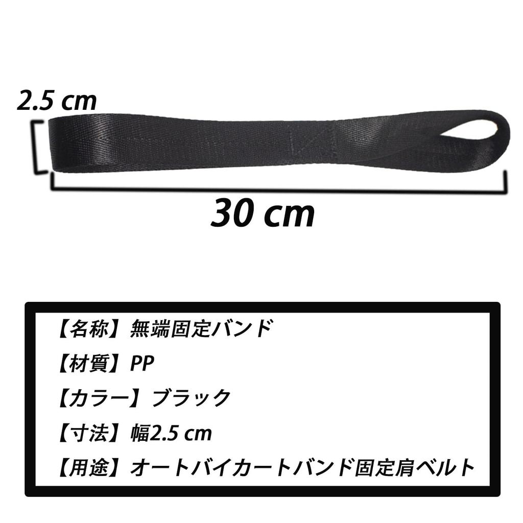 HUIKKJP Tie Down Belts, Set of 8 (Black) 1.0 x 11.8 inches (2.5 x