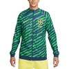 Nike Свитшот Академии Бразилии Pro Anthem "Чемпионат мира по футболу 22" DR9018-490
