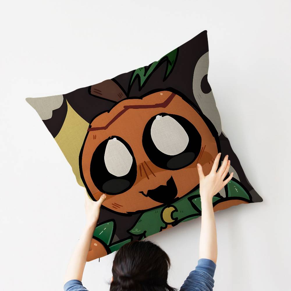 Gourdy DDandys WWorld Pillow Cushion Cover Pillowcase Living Room Sofa Home Decor Customized
