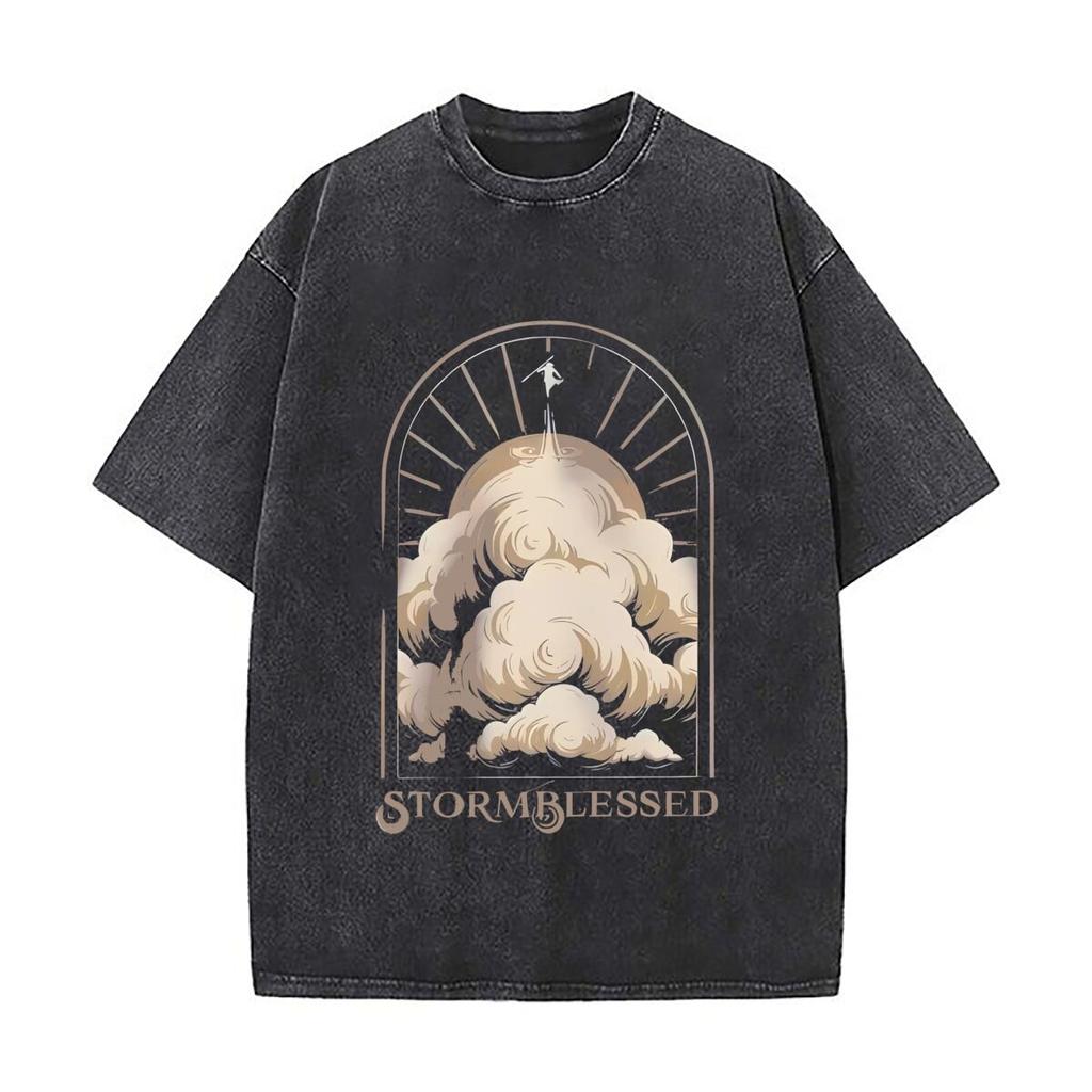Рубашка Архив Светоносных штормов безштормовая T Путь Королей бренд Брэндон Сандерсон подарок фанату космере одежда Каладин футболка
