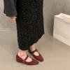 Coarse Heel French Gentle Red Single Shoes Women's Shoes 2024 New Spring and Autumn Retro Suede Mary Jane Evening Shoes