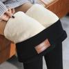 Autumn and Winter Thick Plus Size Plush Fleece Leggings Women Elastic High Waist Plush Warm Legging Pants Lady Elegant Slim Fit Woman Legging 25008