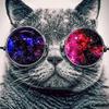 Алмазная картина, мозаика, вышивка, стразы, круглый бриллиант, вышивка крестом, ремесло, крутой кот в солнцезащитных очках