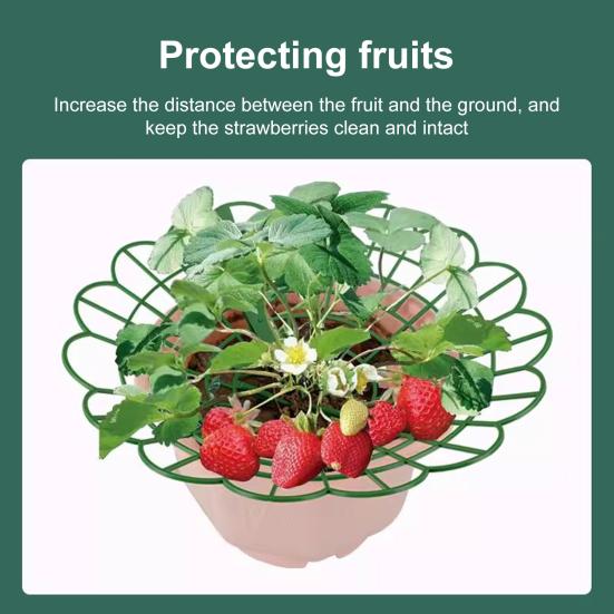 Клубничная колыбель Многоразовая поддержка для клубники Решетка Вставка для кашпо Держатель для клубники Предотвращает гниение от земли Подарок для садоводов-любителей