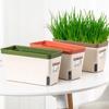 Indoor Flower Planter Box Vegetable Planting Pot Double Layer Self Watering Plant Pot