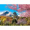 1000 Piece Puzzles for Adults Cherry Blossoms In Osaka Castle, Japan Jigsaw Puzzles Educational Games Colorful Puzzles