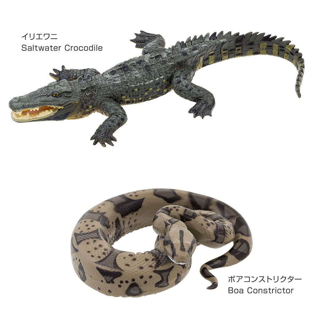 Фигурка рептилии Carolata 3D Энциклопедия Крокодил 8 видов с реалистичной фигуркой Коробка Игрушка Обучающая игрушка Подарок Еда Санитария Закон Рождество