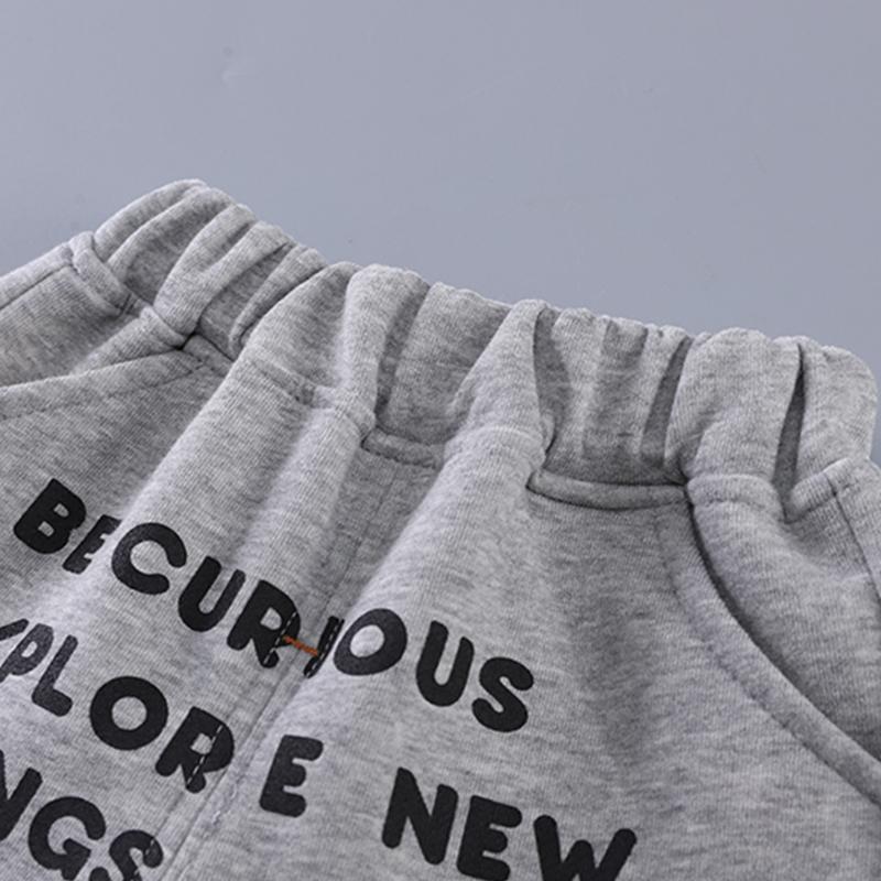 Костюм с длинными рукавами для мальчиков от 0 до 5 лет, детская толстовка с капюшоном и принтом льва + повседневные штаны, комплект из двух предметов, милая и удобная одежда для мальчиков и малышей