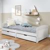 VidaXL Day Bed with 2 Drawers IRUN White 90x200 Cm Solid Pine Wood 3185208