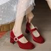 Fashion Shoes Female 2024 Mary Janes Women's High Heels Fashion Party Pumps Women Shallow Buckle Strap Square Heel Platform Shoes Women