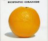 CD ECSTATIC ORANGE - Мир продолжает вращаться PGCD30 Поп-бог 1995 Япония Танцевальная и электронная музыка Б/у