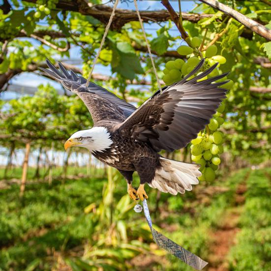 Подвесная Поддельная Сова 2D Плоский Чучело Совы со Светоотражающей Лентой Украшение Орла с Колокольчиком для Отпугивания Голубей