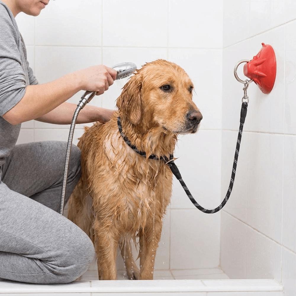 Suction Cup Dog Bathing Tether Adjustable Dog Bathing Fixer Pet Shower Fixed Collar for Cats Dogs