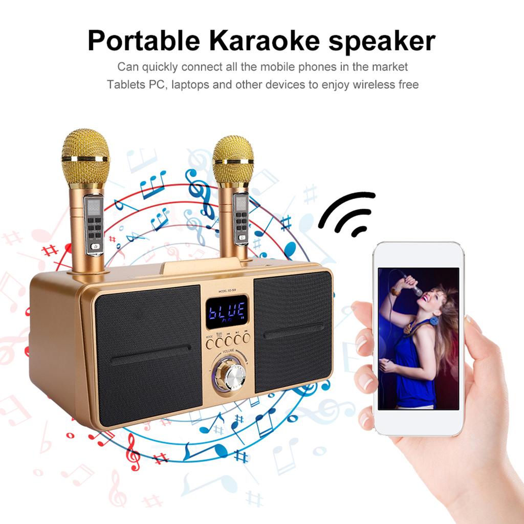 Family KTV High Quality Sound Kit Integrated Wireless Microphone Live Audio Card Bluetooth Karaoke