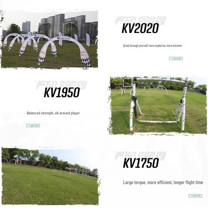 Leshi 5-inch FPV Racing Drone Motor