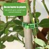 100/1Pcs Plastic Plant Support Clips Reusable Garden Vegetable Tomato Vines Upright Twine Plant Fixed Clips Holder Grafting Fixing Tools