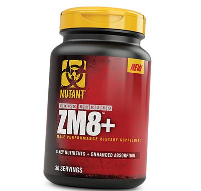 Поддержка Тестостерона, ZM8+, 90капс (08100003)