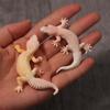 Cognition Toys Figure Animal Toys Gecko Prank Props Lizards Action Model  Kid Gifts