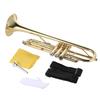 Juspins Trumpet Bb Flat, Brass Gold Finish, Exquisite and Durable Instrument with Mouthpiece, Gloves, Strap, and Case