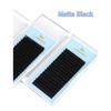 Individual Matte Black Lashes Plastic Magnetic Box Supplies Vendors Cashmere Mink Eye Lash Trays Fan Eyelash Extension