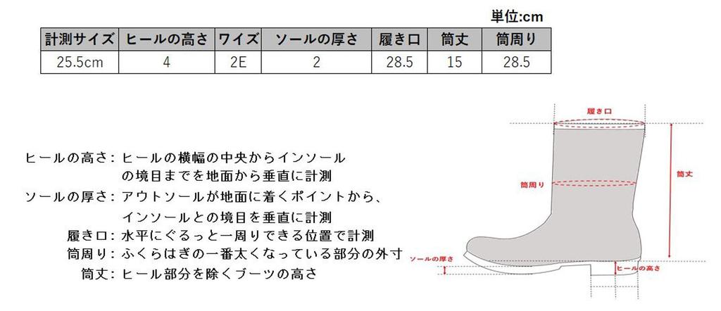 Boots 2931 BLK 23 [Avirex] Men's