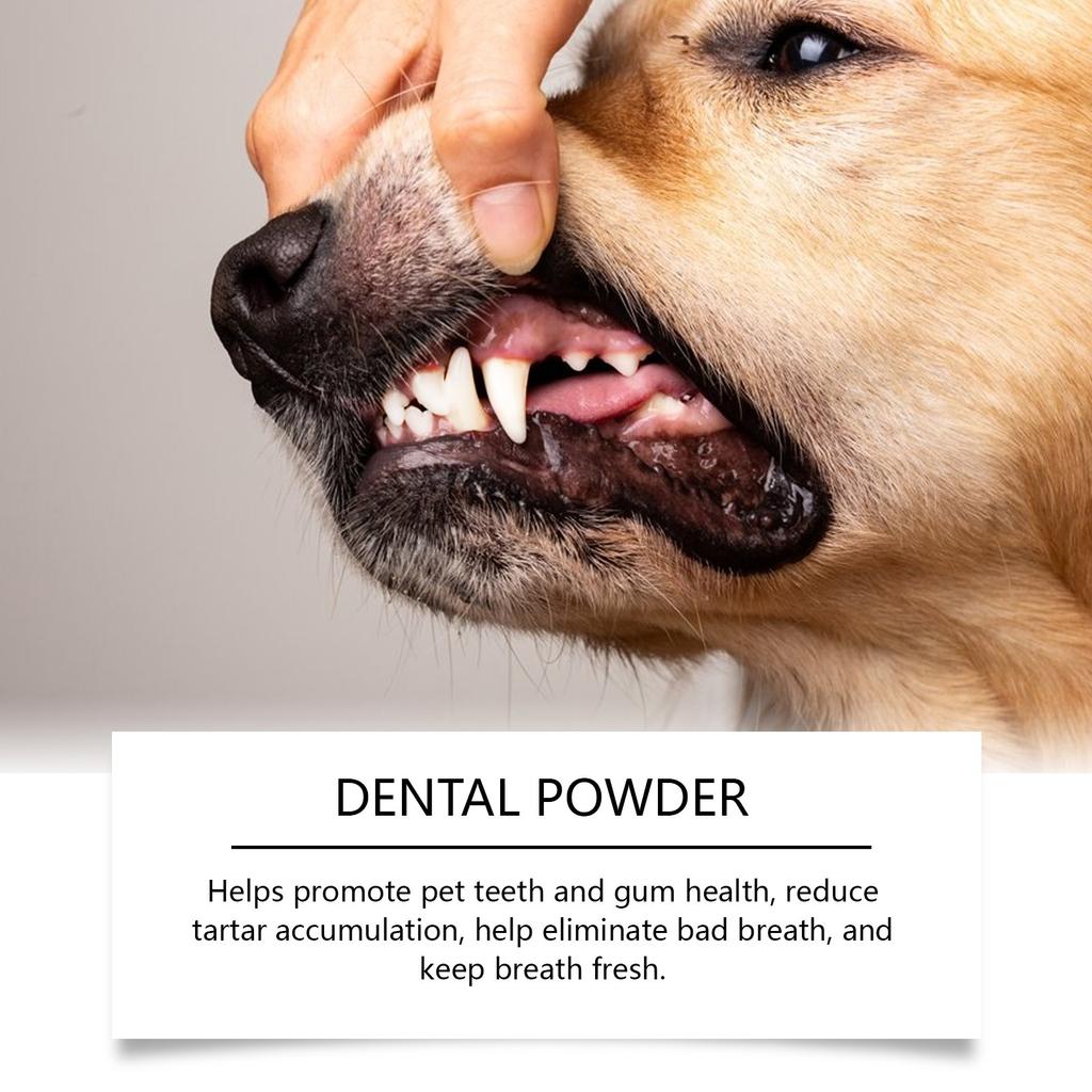 Порошок для чистки зубов у собак, зубной налет, сохраняет зубы и десны здоровыми и сохраняет свежее дыхание