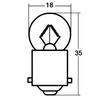 Stanley Electric Forklift Light Pack of A4187 (STANLEY) Bulbs, 48V10W, 10,