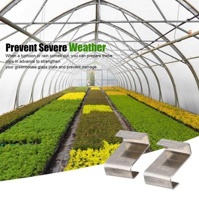 Стеклянные клипсы Клипсы для стекла теплицы Теплицы и парники Нержавеющая сталь 304