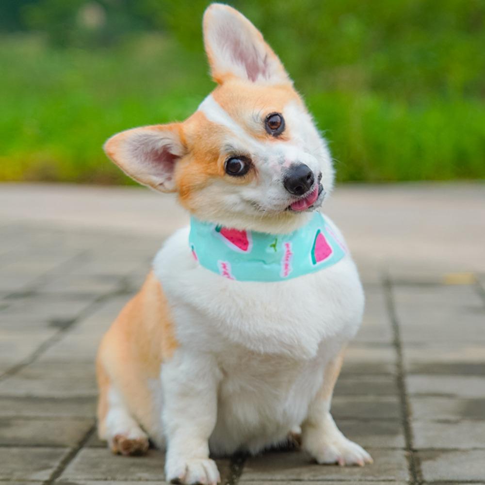 Профилактика теплового удара шарф для домашних животных мультяшный ошейник для собак прочный охлаждающий ледяной шарф для улицы