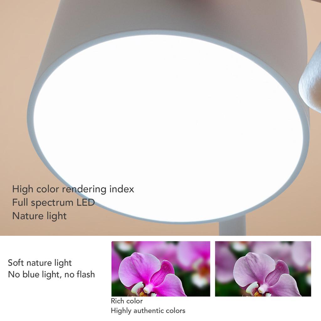 Проекционная лампа Перезаряжаемая Защищающая глаза Стильный вид Диммируемая Настольная лампа на гибкой ножке для чтения Гостиная Спальня