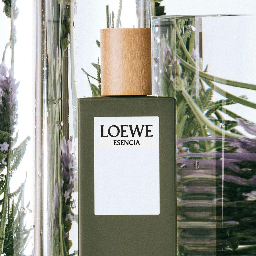 Loewe Essentia Туалетная вода для мужчин 50 мл