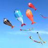 Weifang Kite Co. High-End Dolphin & Whale Soft Body Kites - Easy To Fly, Ideal for Breezy Days.