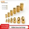 180° Brass Concealed Folding Door Hinge for Wooden Boxes