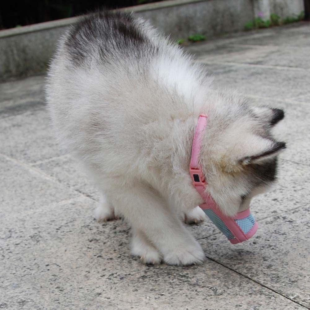 Safety Anti Bite Bark Chewing Adjustable Pet Product Mouth Grooming Mouth Muzzle Dog Muzzle