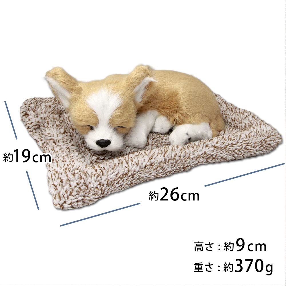 TATOTTE Реалистичная плюшевая фигурка собаки с милым спящим лицом, в комплекте активированный уголь, успокаивающий декор (Чихуахуа CR)