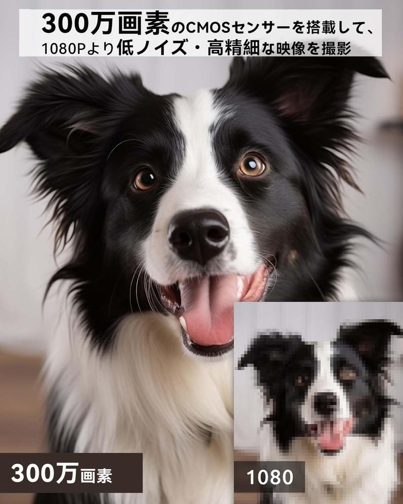 Новейшая цветная ночная камера для наблюдения за домашними животными камера наблюдения камера безопасности внутренняя камера автоответчика blurams автоматическое отслеживание обнаружение человека PTZ