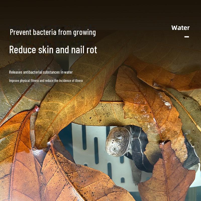 Longan Leaf Turtle Aquarium Conditioner: Prevents Rot and Enhances Water Quality