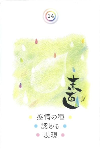 Радужные карточки Котодама Арт Каори Куросэ 40 карточек с японскими комментариями (Новый выпуск) [Аутентичный]