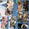 Забавный Милый Котенок Эстетичный Чехол Для Honor Magic 8 7 6 5 Pro Чехол Для Honor 400 200 X9c X9b X9a X8a X8b 50 70 90 Lite