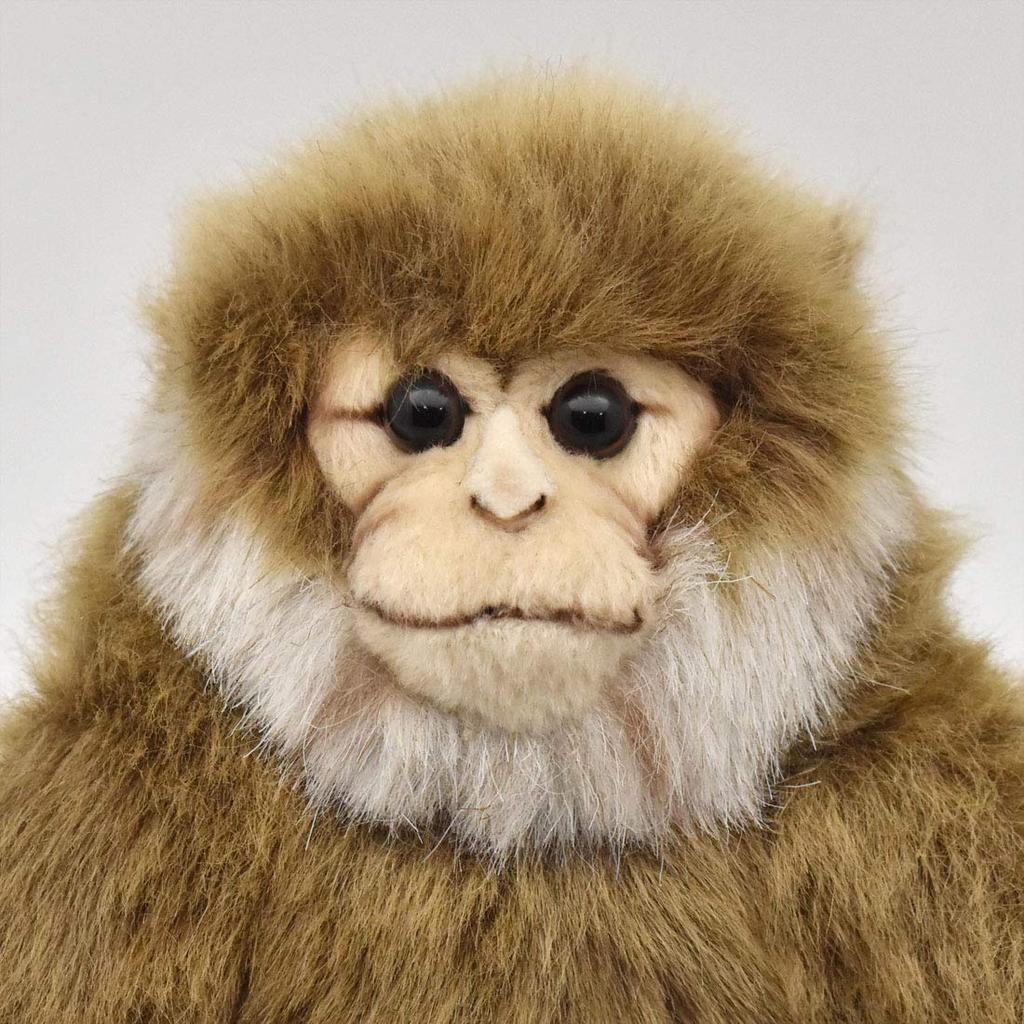 BH6319 HANSA Обезьяна 15