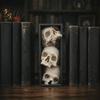 Аксессуары для книжной полки в стиле Dark Academy, вставка в готическом стиле, 3-уровневый дизайн со сложенными черепами, декорация для таинственной библиотеки, 3D-печать, скелет на тему ужасов