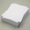 B5 Kent paper Kitayuki T grain 260kg 220kg 100 sheets IFI approx. 0.29mm (grammage) (46 size)