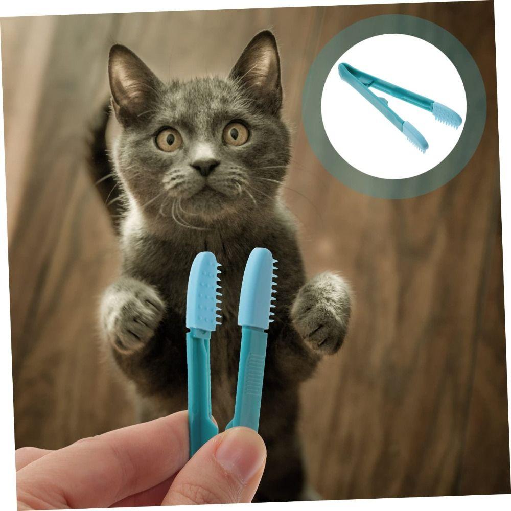 Струпья на глазах Расческа для глаз домашних животных Щетка для удаления пятен Щетка для чистки домашних животных Маленькая кошка Собака