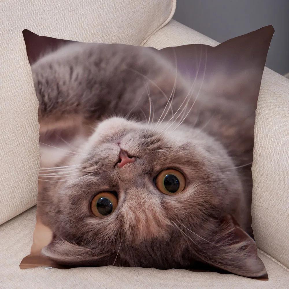 Русская голубая Британская короткошерстная Наволочка Декор Милый кот Домашнее животное Животное Наволочка Мягкий плюшевый Чехол для подушки для машины Дивана Дома