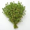 300 Thyme Seeds - SemiWild Permaculture