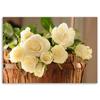 Canvas print, Yellow and white roses