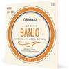 Струны для банджо D'Addario, Никелированные, Средние, 5-струнные, .010-.023, EJ61 [Аутентичный японский импорт]