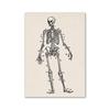 Vintage Human Anatomy Artwork Medical Wall Picture Muscle Skeleton Poster Canvas Art Print Education Hospital Pharmacy Paintings