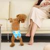 Dog Diapers Pet Physiological Pant Puppy Panties Washable Dog Underwear Breathable Pet Shorts for Female Dog In Heat
