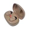 1 Pair Ear Canal Hearing Aids Intelligent Noise Reduction Sound Amplifier for Elderly with Portable